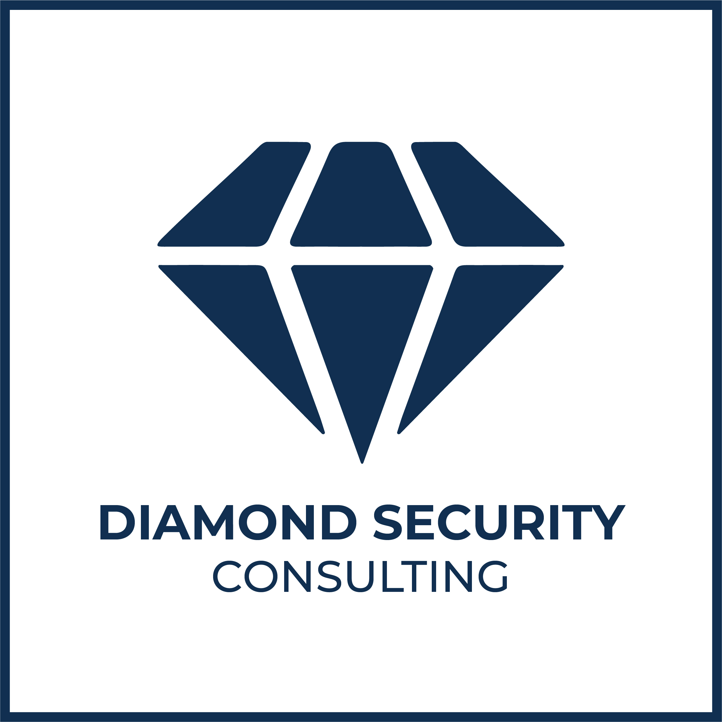 Un Nouveau Chapitre pour Diamond Security Consulting : Notre Nouvelle Identité Visuelle